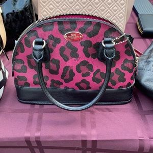 Tiny coach leopard bag